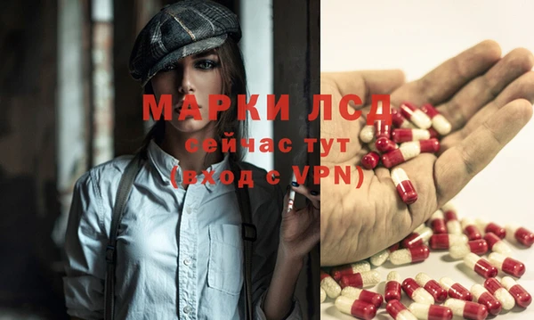 дмт Аркадак