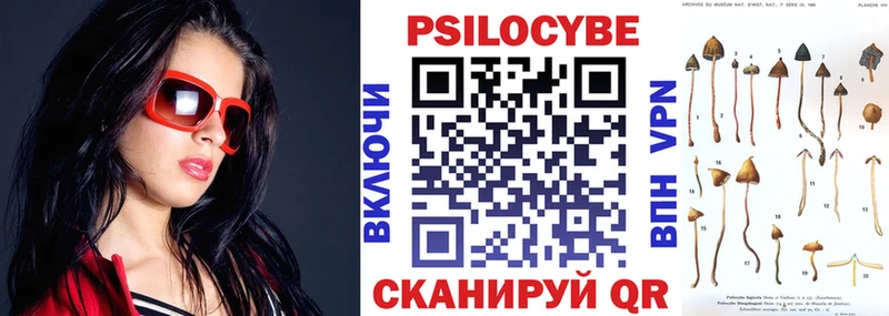 Псилоцибиновые грибы Psilocybine cubensis  ссылка на мегу вход  Вытегра 