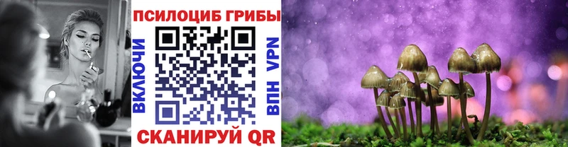 Галлюциногенные грибы Magic Shrooms Вытегра